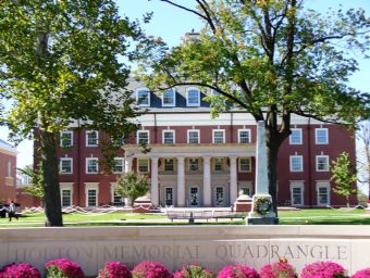 Holton Quad Full Bloom bx.JPG